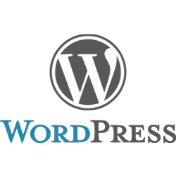 Diseño Web La Serena | Páginas Profesionales para Negocios
