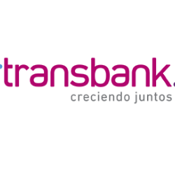 Diseño Web La Serena | Páginas Profesionales para Negocios