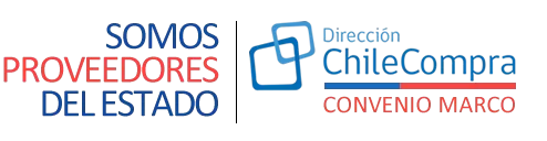 Diseño Web La Serena | Páginas Profesionales para Negocios