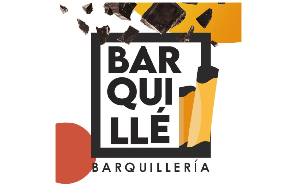 Diseño Web La Serena | Páginas Profesionales para Negocios