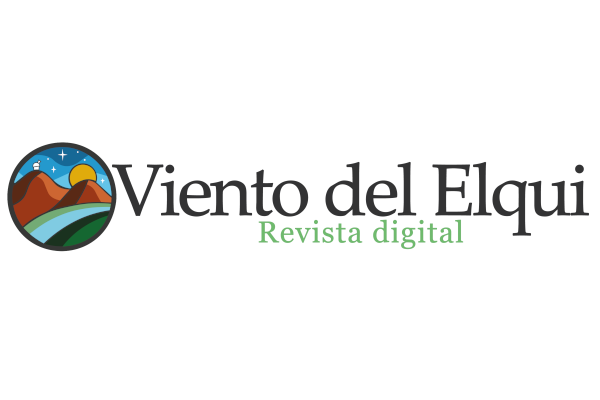 Diseño Web La Serena | Páginas Profesionales para Negocios